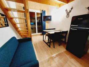 LE COSY à Aime La Plagne